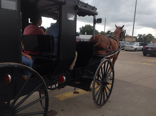 Crafts, Horses, Monkeys and More at the Mommy Meet Up Today! 