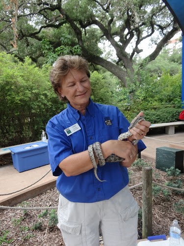 Houston Zoo