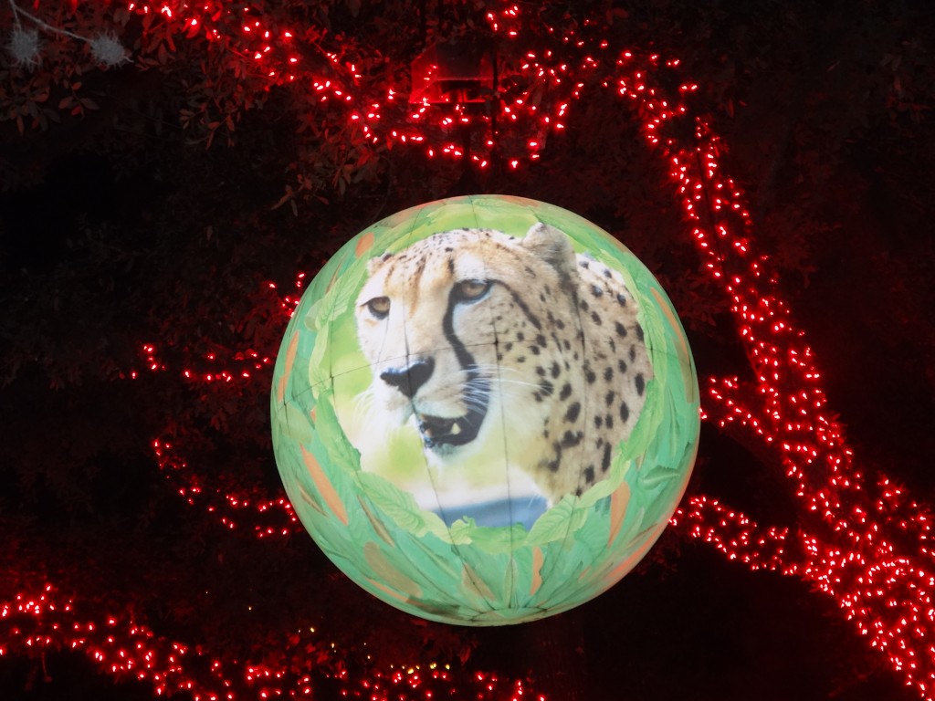 Start a New Holiday Tradition at Zoo Lights2