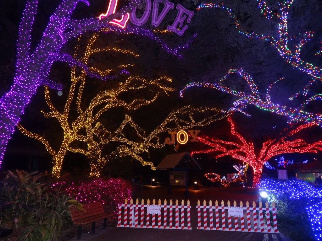 Start a New Holiday Tradition at Zoo Lights