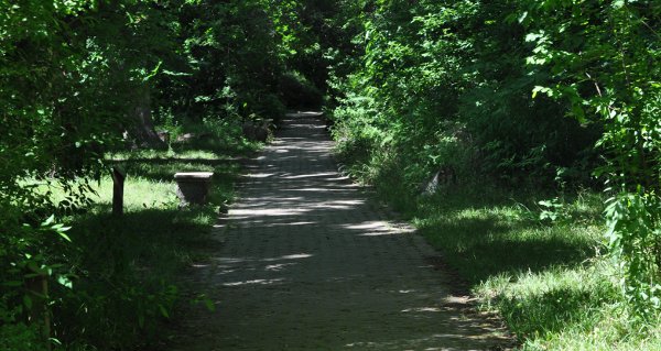 Path at Nature Discovery Center