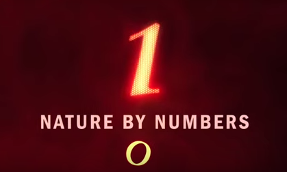 Nature By Numbers